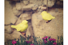 Ptáček žlutý, puntíčkatý - malý