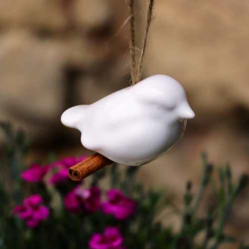 Ptáček bílý - malý